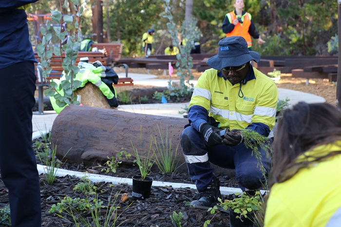 Serpentine Dam Gardening