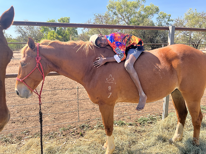 A child sits on a horse that is standing still in a field