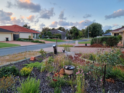 Waterwise garden transformation